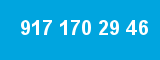 917 170 29 46